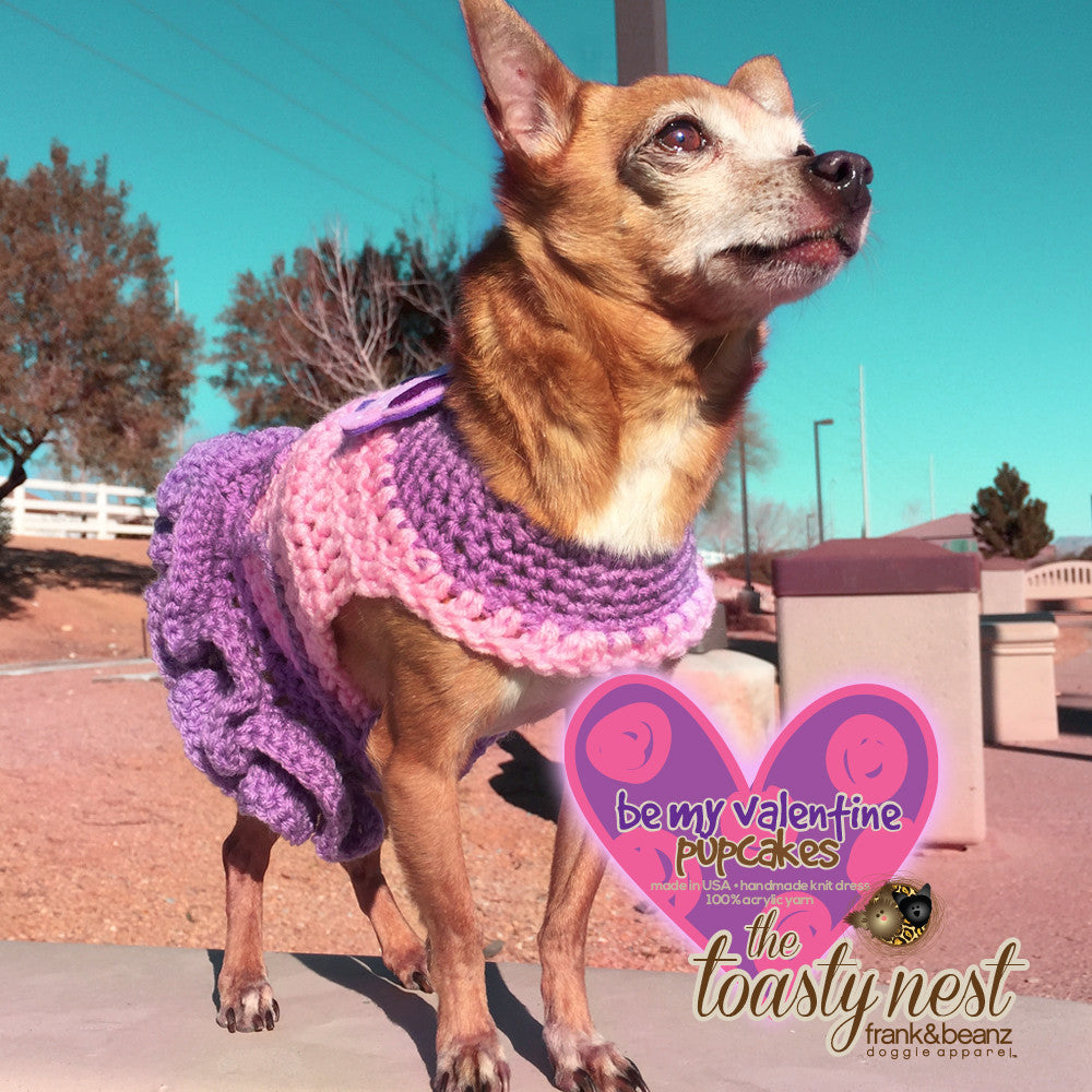 Be my Valentines Pupcake Dress Gift-Away