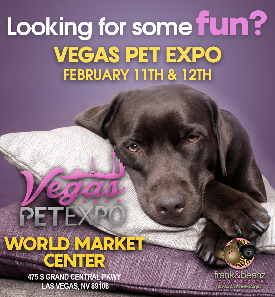 LAS VEGAS PET EXPO