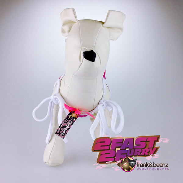 Fast and the Furrious™ - 2 Fast 2 Furry Small Dog Halter Shirt