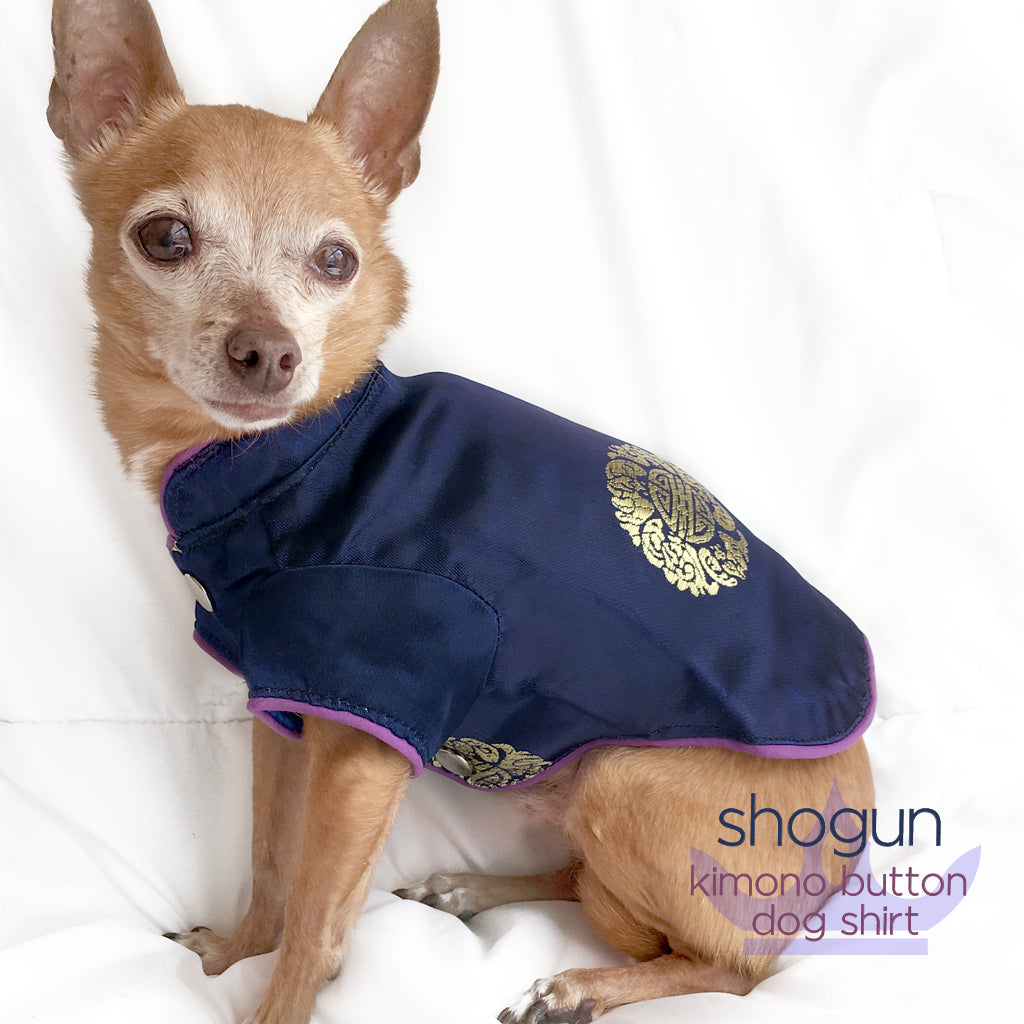 Shogun-Royal Blue Kimono Button Dog Shirt