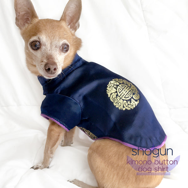 Shogun-Royal Blue Kimono Button Dog Shirt