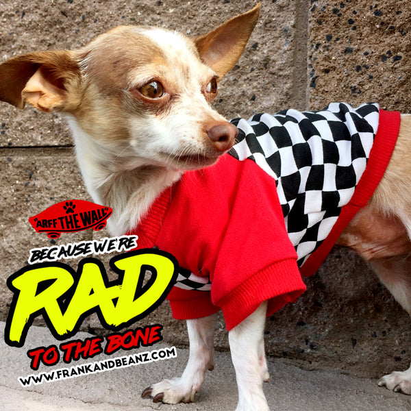 Arff the Wall Skater Checkered Dog Shirt