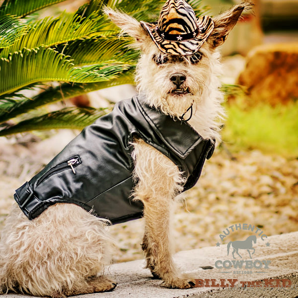 Brown Vegan Leather Dog Jacket Winter Dog Coat