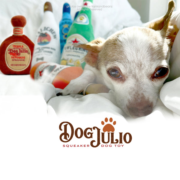 Dog Julio Tequila Bottle Plush Dog Toy Squeaky