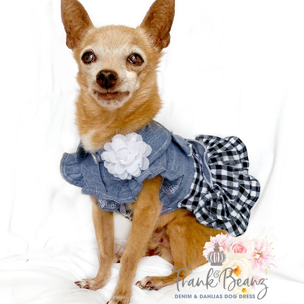 Denim & Bow Tie Frilly Dog Dress