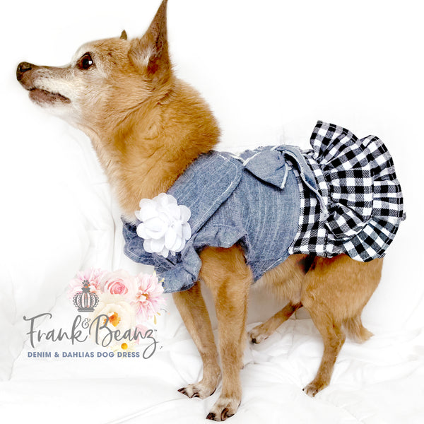Denim & Bow Tie Frilly Dog Dress