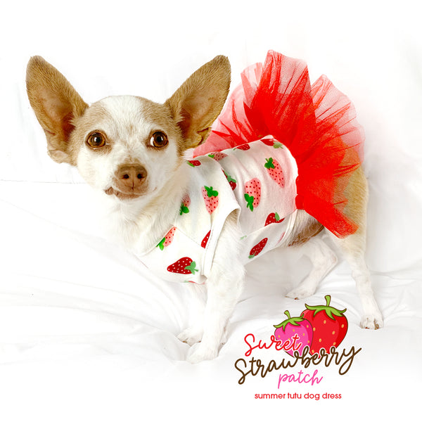 Sweet Strawberry Cute Tutu Dog Dress