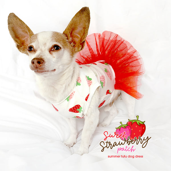 Sweet Strawberry Cute Tutu Dog Dress