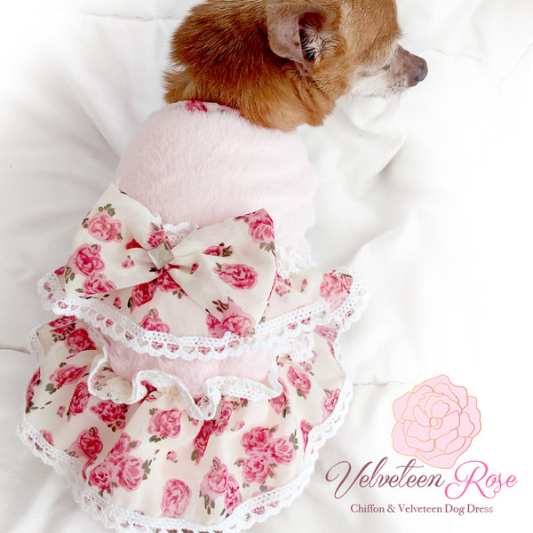 Velveteen Rose Chiffon Ruffled Dog Dress