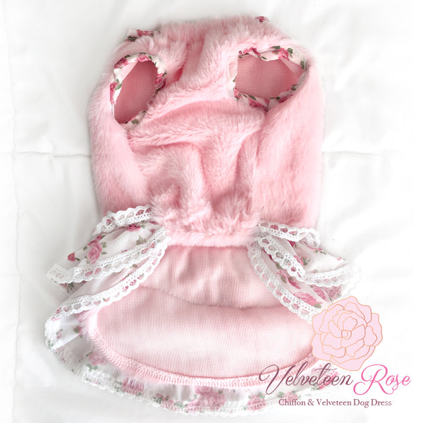 Velveteen Rose Chiffon Ruffled Dog Dress