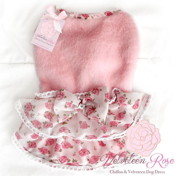 Velveteen Rose Chiffon Ruffled Dog Dress