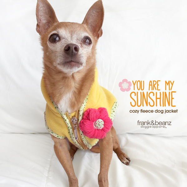 You Are My Sunshine Yellow Fleece Dog Hoodie