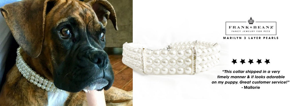 Chewy Vuitton Birthday Cake Dog Toy – FrankandBeanz Fancy Jewelry