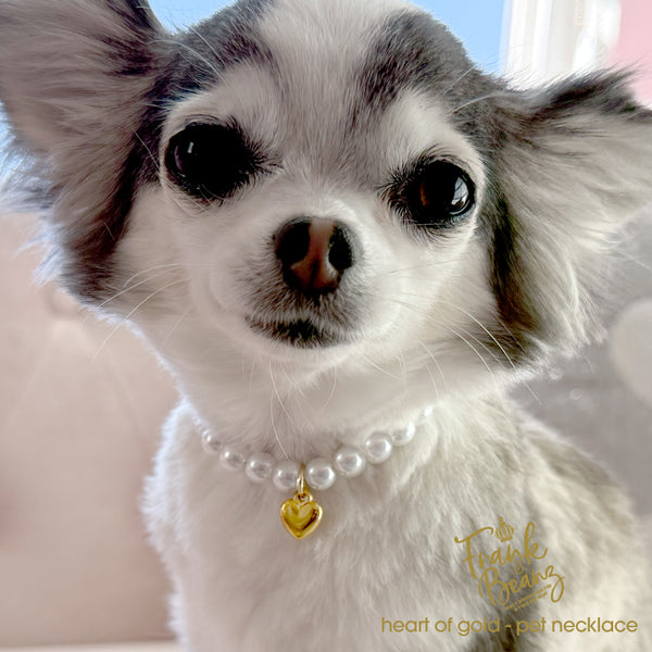 18k Heart of Gold Custom Pearl Dog & Cat Necklace