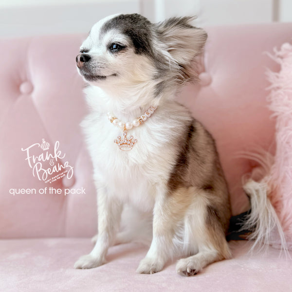 Queen of the Pack Rhinestone Gold Crown Dog & Cat Necklace