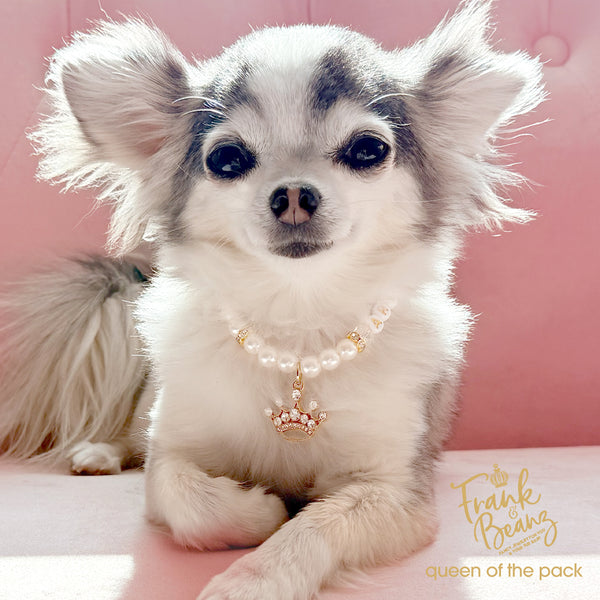Queen of the Pack Rhinestone Gold Crown Dog & Cat Necklace