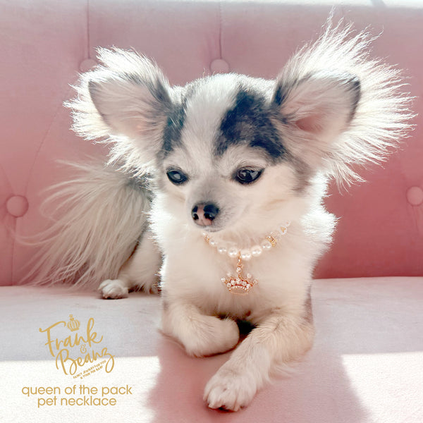 Queen of the Pack Rhinestone Gold Crown Dog & Cat Necklace