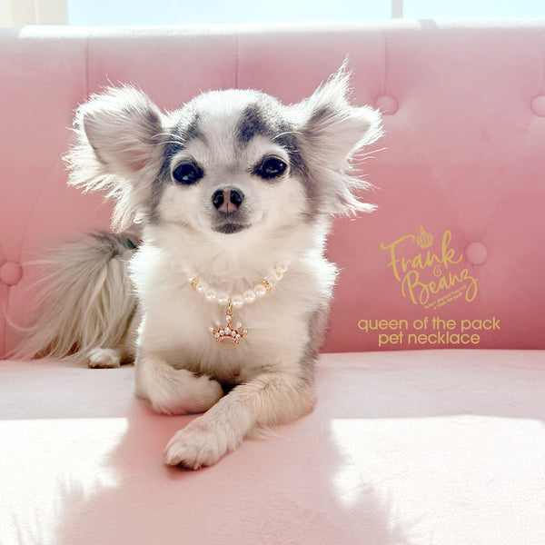 Queen of the Pack Rhinestone Gold Crown Dog & Cat Necklace