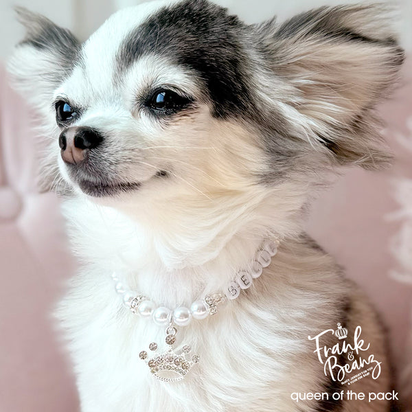 Queen of the Pack Rhinestone Silver Crown Dog & Cat Necklace