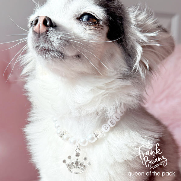 Queen of the Pack Rhinestone Silver Crown Dog & Cat Necklace
