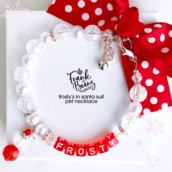 Frosty Christmas Pet Necklace for Cats Dogs Personalized Pet Jewelry