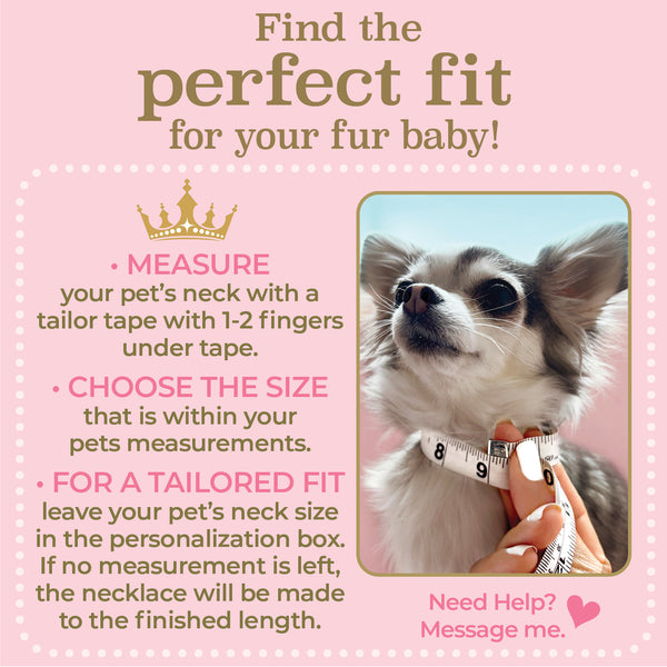 Queen of the Pack Rhinestone Silver Crown Dog & Cat Necklace