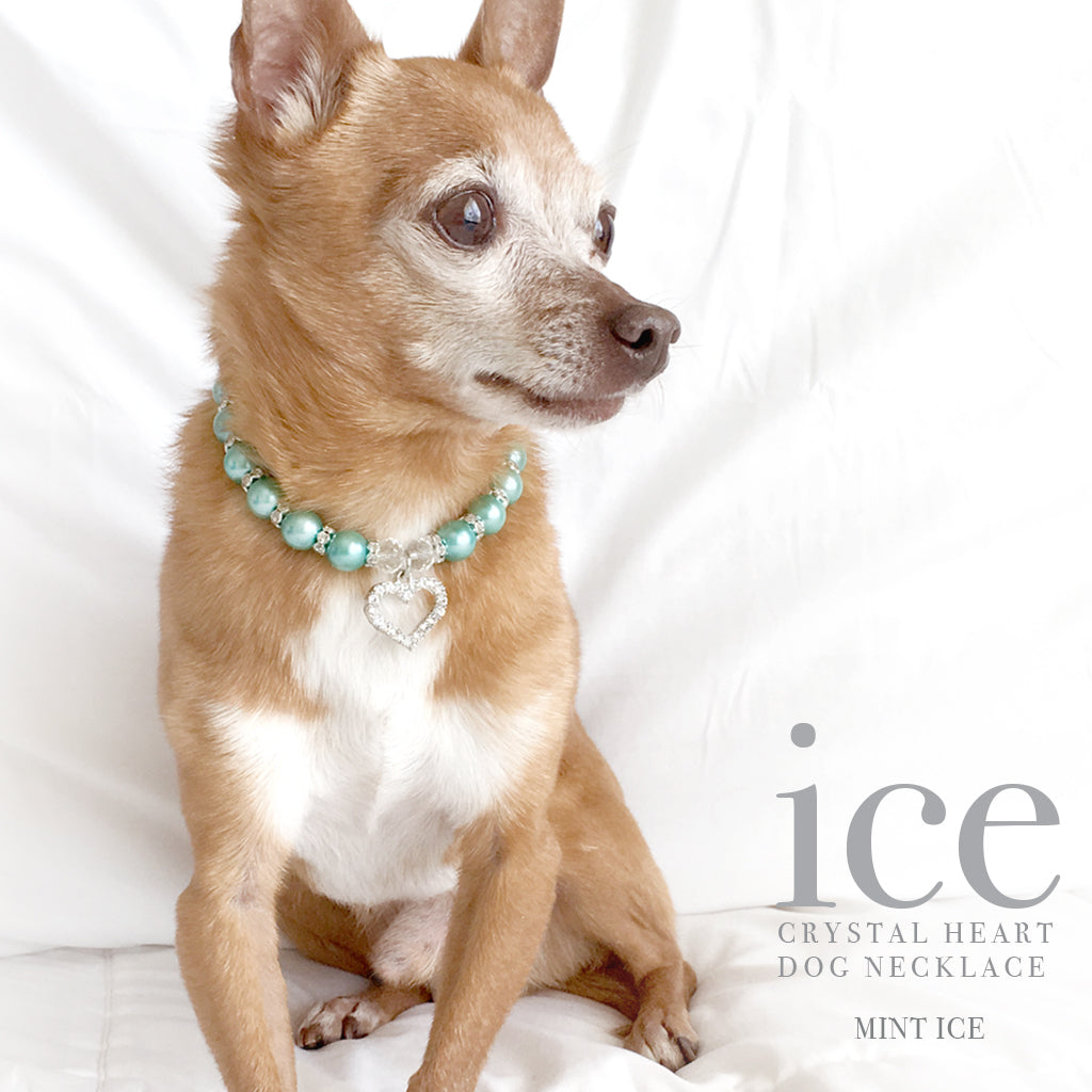 Bling Diamond Dog Chain Collar Crystal Rhinestone Pet Necklace Collar  Luxury Shining Collars for Small Medium Dogs Cat Chihuahua - AliExpress