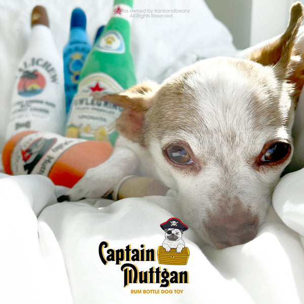 Captain Muttgan Rum Bottle Dog Toy