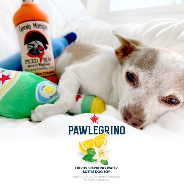 Pawlegrino Sparkling Bubbly Water Bottle Dog Toy