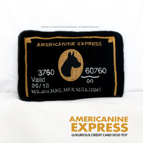 Americanine Express Dog Plush Toy
