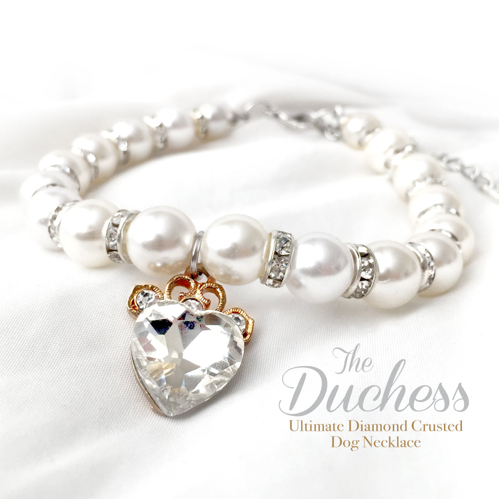 Stunning Diamond Heart Dog Necklace Collar – FrankandBeanz Fancy Jewelry  and Toys for Pets