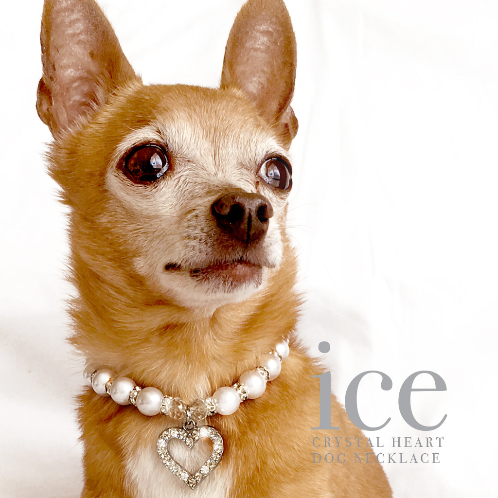 Chain Dog Collar Medium Cuban Link Dog Necklace Lightweight - Etsy | Pink dog  collars, Dog necklace, Dogs