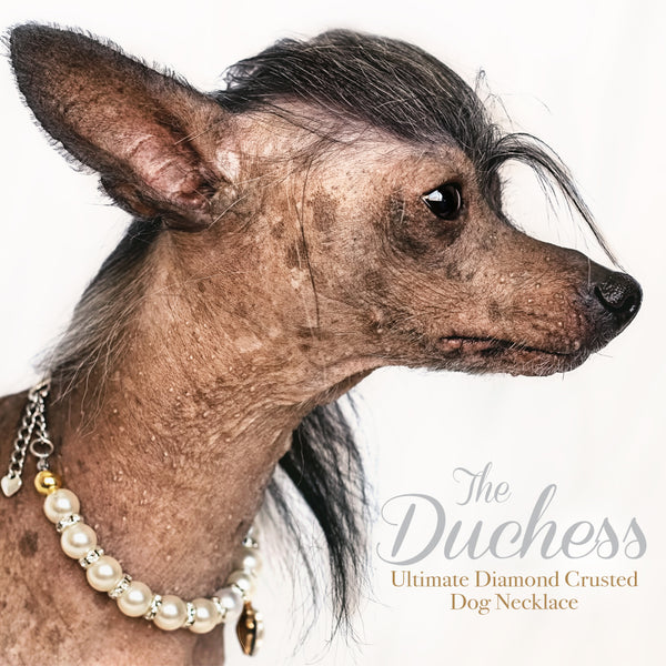 The Duchess-Diamond Heart Pearl Dog Necklace
