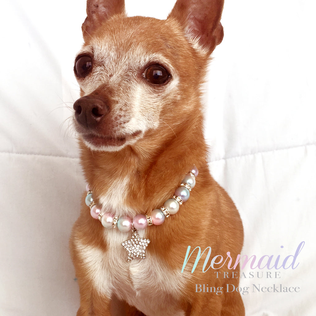 Pet Bow Pearl Collar Dog Princess Necklace Cat Jewelry Cute Collar Puppy  Accessories Dog Chain Chihuahua Wedding Jewelry Stuff - AliExpress
