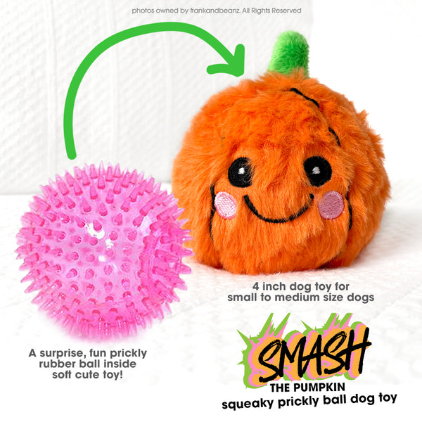 Smash the Pumpkin Rough Play Dog Toy Ball Pet Toys