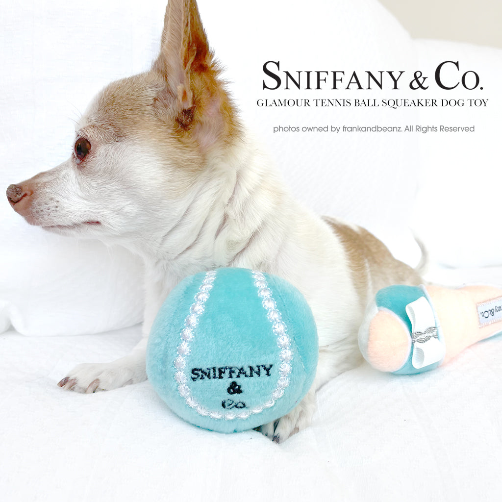 Chewy Vuitton Mini Designer Dog Toy Purse – FrankandBeanz