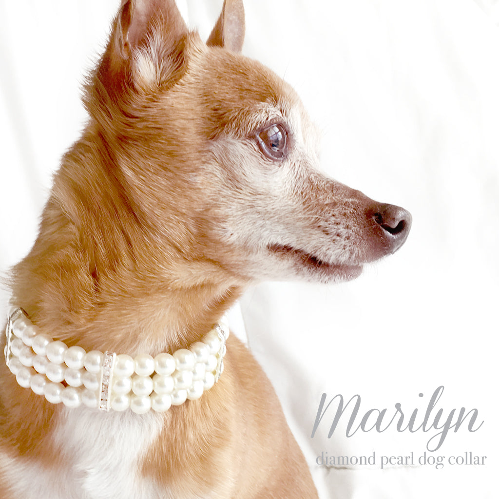 Elegant Pearl Pet Collar Necklace Double Strand Beaded Dog Cat Jewelry  Wedding Bridal Ivory Pearl Pet Collar Bow Tie Pearl Dog Cat Collar - Etsy